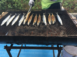 11_1sanma.jpg